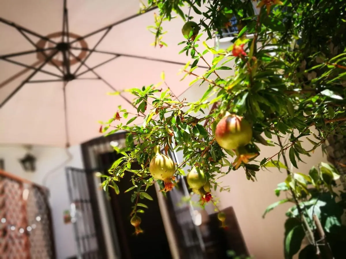 Bella Palermo Bed & Breakfast