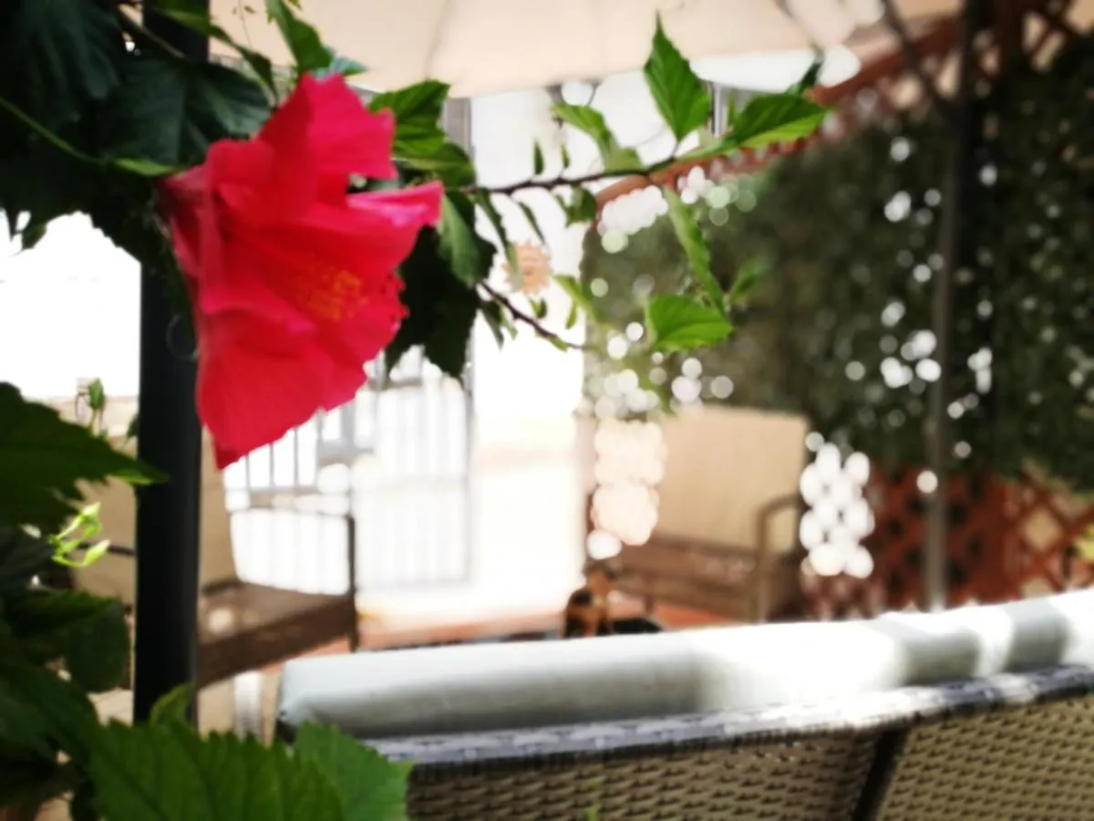 Bella Palermo Bed & Breakfast
